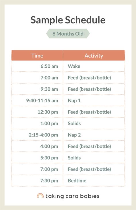 Sleep Schedule 8 Month Old, 8 Months Sleep Schedule, 7-8 Month Old Schedule, 8 Month Old Nap Schedule, 8 Month Old Baby Schedule, 8 Month Sleep Regressions, 8 Month Sleep Schedule, 8 Month Old Wake Windows, 8 Month Schedule