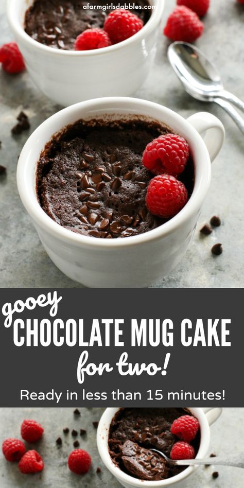 Gooey Chocolate Mug Cake for Two from afarmgirlsdabbles.com - This chocolate cake recipe is incredibly easy to make, with butter and no eggs. In less than 15 minutes, you'll have two crazy delicious servings of warm chocolate cake, ready to eat! #chocolate #cake #gooey #fudgy #recipe #easy #quick #fortwo #two #mug #cup Gooey Chocolate Mug Cake, Gooey Chocolate Cake, Cake For Two, Valentines Recipes Desserts, Chocolate Mug Cake, Cake Mug, Mug Cakes, Low Carb Cheesecake, Valentine Desserts