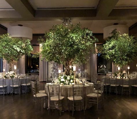 Tree Wedding Reception Decor, Tree On Table Wedding, Tall Tree Centerpieces Wedding, Wedding Reception Trees Indoor, Enchanted Tree Centerpieces, Trees For Wedding Decor, Trees In Wedding Reception, All Greenery Wedding, Wedding Tree Centerpieces