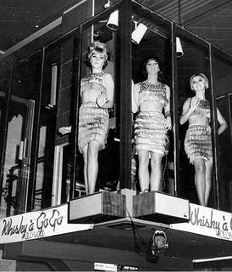 1960's Cage Go-Go Dancers At The Famous Whisky a Go-Go 60s Gogo, Whiskey A Go Go, Go Go Dancing, Go-go Girls, Susanna Hoffs, Johnny Rivers, Whisky A Go Go, Peter Saville, Sweet Charity