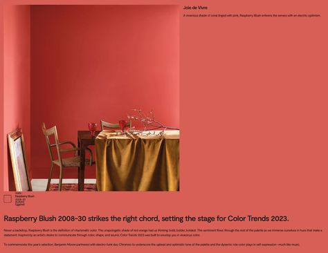 Raspberry Blush, Pantone Rose Quartz, Raspberry Bush, Benjamin Moore Colors, Interior Paint Colors, Blog Images, Paint Colours, Project Inspiration, Painting Wallpaper