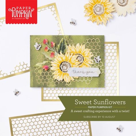 Paper Pumpkin Stampin Up, Stampin Pretty, Sunflower Cards, Global Design Project, Sweet Paper, Stamp Tutorial, Pumpkin Cards, Nature Card, Floral Image