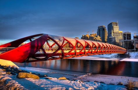 The Peace Bridge is probably one of the best known landmarks in Calgary, AB - While it was controversial when first built, it's become a symbol of the city. Canada Day Fireworks, Peace Bridge, Unusual Architecture, Road Trip Planner, Calgary Canada, Santiago Calatrava, Pedestrian Bridge, Calgary Alberta, Alberta Canada