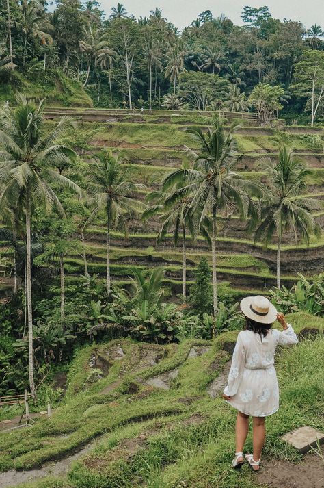 Bali Travel | If you're headed to Ubud, make sure you check out this guide to find out things to do in Ubud, Ubud hotels, and where to eat in Ubud. This guide also has beautiful Bali photography and plenty of outfit ideas | #balitravel #ubudbali #ubudhotels Spiritual Activities, Ubud Hotels, Water Temple, Bali Itinerary, Voyage Bali, Bali Honeymoon, Bali Vacation, Bali Travel Guide, Rice Terraces