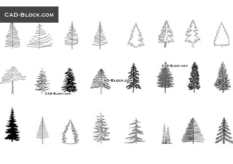 Tree Dwg, Pine Tree Drawing, Cad Blocks Free, Coniferous Trees, Landscape Architecture Drawing, Tree Sketches, Conifer Trees, Tree Images, Cad Blocks