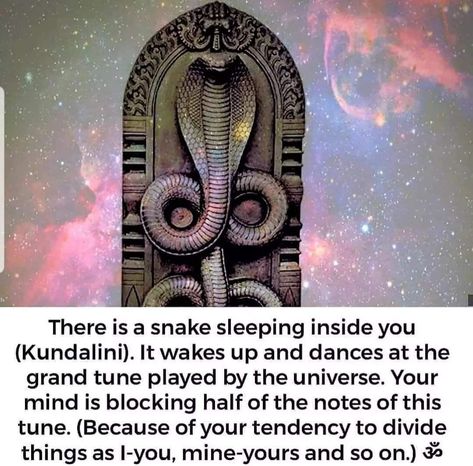 Science Barbie, Kundalini Snake, Quantum Physics Spirituality, Kemetic Spirituality, Spiritual Awakening Quotes, Metaphysical Spirituality, Spiritual Psychology, Kundalini Awakening, Divine Feminine Spirituality