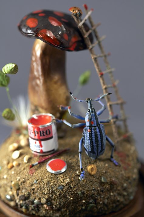 dioramas  by Lisa Wood Beetle Enclosure, Insect Diorama, Wunderkammer Cabinet, Bug Pinning, Weird Taxidermy, Taxidermy Insects, Taxidermy Animals, Bug Taxidermy, Insect Taxidermy