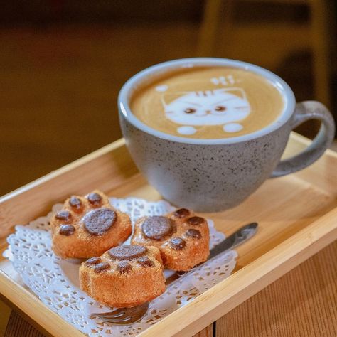 Cat Cafe Ideas, Japanese Cat Cafe, Arte Del Cappuccino, Mini Cafeteria, Pet Cafe, Coffee Latte Art, Kitty Cafe, Dog Cafe, Cute Cafe