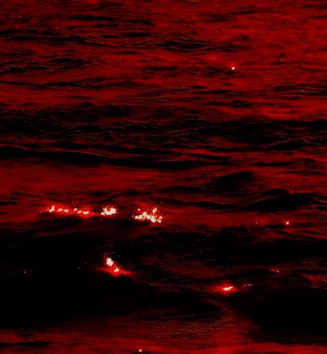 Red Dragons Aesthetic, Rose Asthetics Wallpaper, Red Rose Asthetics, Rose Asthetics, Crimson Aesthetic, Sith Aesthetic, Newspaper Wallpaper, Sea Storm, Dark Red Wallpaper