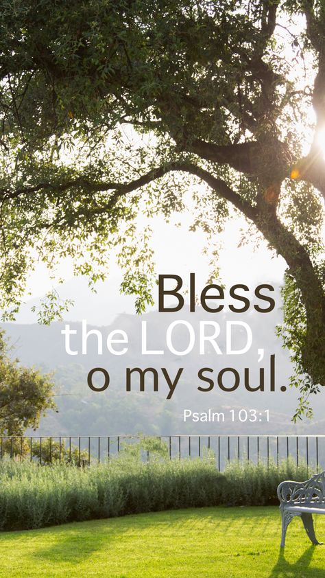 Bless the LORD, O my soul; And all that is within me, bless His holy name! Bless The Lord Oh My Soul, Verses About Family, Christ Artwork, O My Soul, Jesus Christ Artwork, How High Are You, Healing Scriptures, Bless The Lord, Biblical Verses