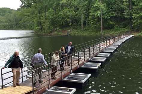 Hikers who visit the Ragged Mountain Natural Area now have a unique way to cross the reservoir — a floating bridge, the first of its kind in Virginia. River Bridge Design, Floating Wetland, Bridge Proposal, Bridge Over Water, Bridge Ideas, Floating Bridge China, Root Bridge Meghalaya, Floating Bridge, Floating Boat