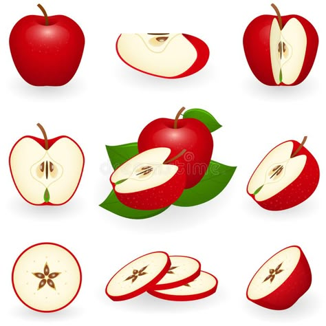 Apple Slice Illustration, Apple Slice Drawing, Apple Illustration Art, Apple Slice Tattoo, Half Apple Tattoo, Apple Drawing Reference, Apple Illustration Design, Apple Fruit Illustration, Apples Drawing