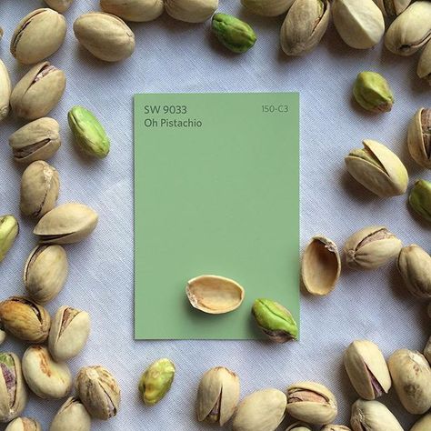 Break out of your shell with our bold new green hue, Oh Pistachio SW 9033. Color Pistache, Hall Painting, Roc Nation, Farmhouse Transitional, Pistachio Color, Paint Color Inspiration, House Items, Green Paint Colors, Sherwin Williams Paint Colors