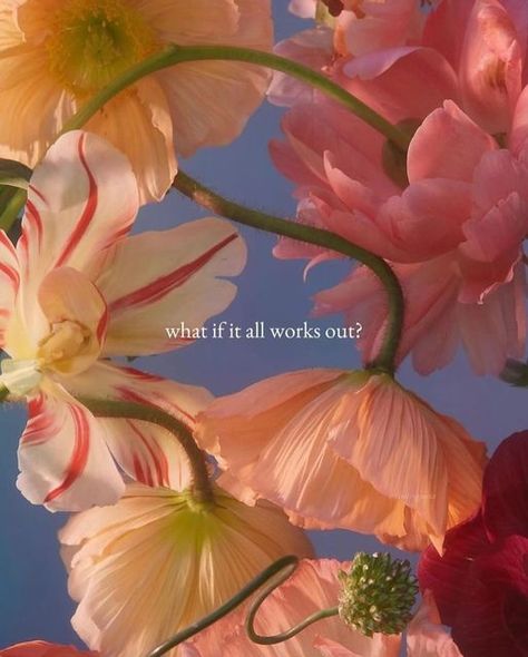 The Words, What If, Yellow, Flowers, Pink, On Instagram, Blue, Instagram, Color