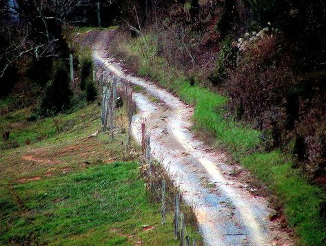 Granny Magic, Cumberland Gap, Tennessee Nashville, Serbia Travel, Carolina Mountains, Folk Magic, North Carolina Mountains, Magical Life, Southern Gothic