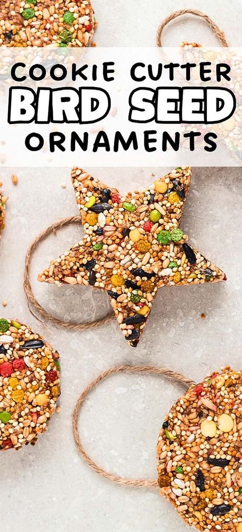 If you're looking for a new craft project to work on, this one might be perfect. Not only are DIY birdseed ornaments super-easy to make, but they also attract a variety of wild birds. Make these yourself or enlist the help of your kids, and you can all enjoy spotting which birds come to visit. There are lots of ways to customize these, using different shapes, different kinds of twine and ribbon, and adding different ingredients to the mix. So have fun and enjoy your feathered friends visiting! Bird Food Ornaments, Diy Birdseed Ornaments, Bird Seed Crafts, Bird Seed Ornaments Recipe, Seed Ornaments, Birdseed Ornaments, Backyard Birds Feeders, Bird Seed Ornaments, Easy Bird