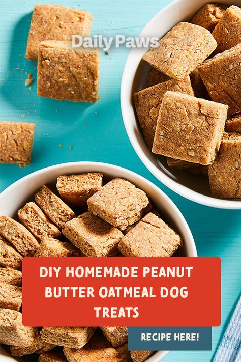 Long Lasting Dog Treats Homemade, Oatmeal Peanut Butter Dog Treats Easy, Homemade Peanut Butter Dog Treats Recipe, Easy Dog Treat Recipes Peanut Butter, Oatmeal Dog Treats, Shelf Stable Homemade Dog Treats, Easy Homemade Treats, Crunchy Peanut Butter Dog Treats, Dog Treats Homemade