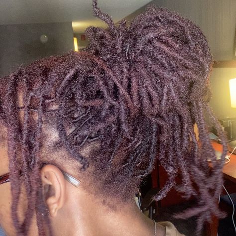 Burgundy Brown Locs, Burgundy Locs, Brown Locs, Loc Colors, Locs Styles, Curly Braids, Starter Locs, At Home Workout Plan, Locs Hairstyles