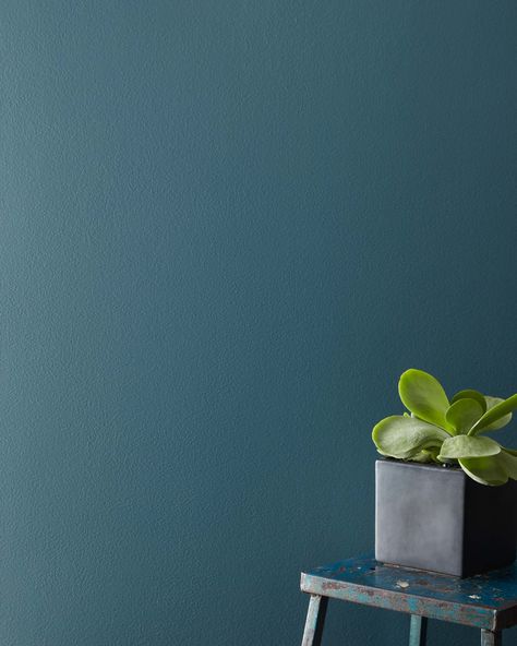 Blue Paint Ideas, Slate Blue Paint Colors, Benjamin Moore Paint Colors Blue, Slate Blue Paint, Slate Blue Walls, Paint Color Swatches, Benjamin Moore Exterior, Green Wall Color, Blue Painted Walls