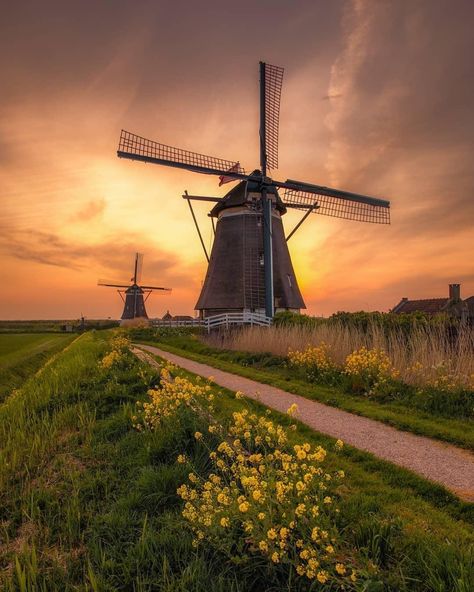 Dutch Windmill Drawing, Wind Mills Diy Ideas, Windmill Aesthetic, Puppy Calendar, Windmill Drawing, Windmill Images, Netherlands Windmills, Windmill Landscaping, Holland Windmills