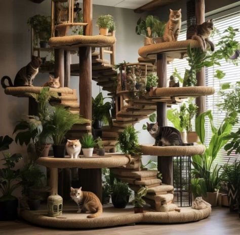 Cats Room, Diy Cat Enclosure, Cat Room Decor, Cat Bedroom, Cat Castle, Cat Patio, Cat Hotel, Cat Tree House, Diy Cat Tree