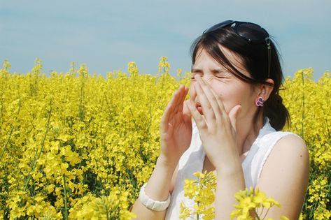 Congestion, sneezing and watery eyes are no way to enjoy the gifts that spring brings. Introduce these 10 Ways to relieve spring allergies. Fall Allergies, Spring Allergies, Allergic Rhinitis, Sinus Pressure, Gaps Diet, Watery Eyes, Itchy Eyes, Allergy Relief, Seasonal Allergies