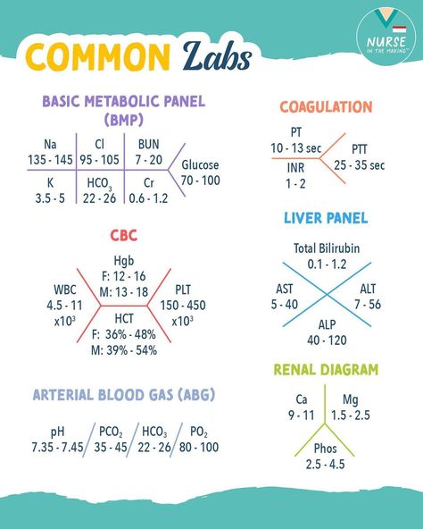 NurseInTheMaking on Instagram: “Common labs (fishbone diagram) You will commonly see lab values in this format of a “Fishbone diagram”. It’s a way to easily see the lab…” Bun Creatinine Lab Values, Cbc Lab Values, Lab Values Nursing, Flight Nursing, Nicu Nurse Education, Charting For Nurses, Fishbone Diagram, Nursing Labs, Nursing School Inspiration