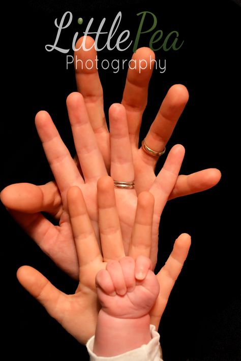 Little Pea Photography @Brianna Lute Family Hand Photography Poses, Four Generation Pictures, 4 Generations Photo, Family Reference, Pea Photography, Generation Pictures, Generations Photography, Family Hands, Family Maternity Photos