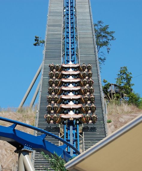 Dollywood's Wild Eagle! Best Roller Coasters, Wild Eagle, Log Cabin Rentals, Luxury Cabins, Theme Parks Rides, Pigeon Forge Tn, Amusement Park Rides, Tennessee Vacation, Gatlinburg Tennessee