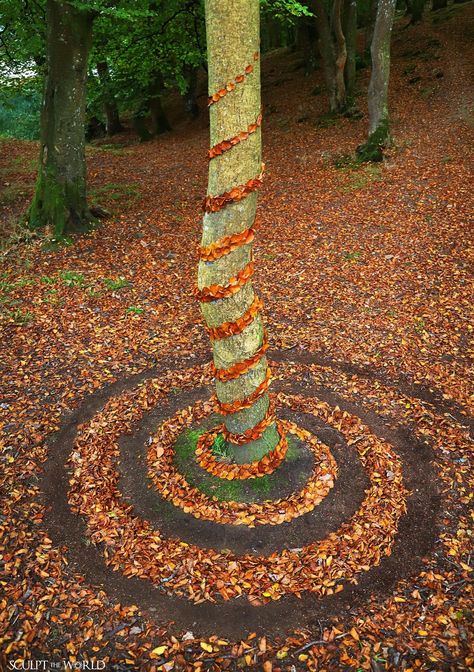 Jon Foreman, Spirals In Nature, Ephemeral Art, Herb Garden Design, Autumn Magic, Earth Art, Fantasy Places, Garden Art Diy, Nature Crafts