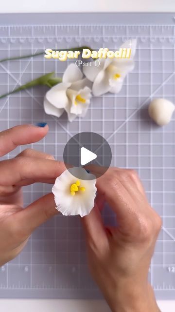 Daffodil Cake, Cold Porcelain Tutorial, Flower Fondant, Sugar Paste Flowers, Sugar Flowers Tutorial, Fondant Flower Tutorial, Flower Step By Step, Handmade Cake Topper, Cold Porcelain Flowers