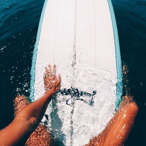 Cctaylor456 Beach Foto, Vans Surf, Foto Tips, Summer Goals, Surf Life, Sweet Summertime, Skateboard Art, Skateboarder, Kitesurfing