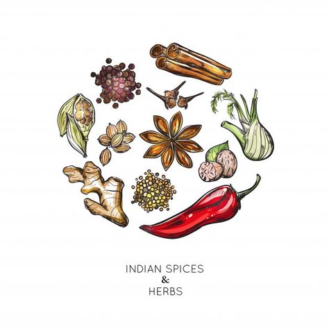 Indian spices herbs composition | Free Vector #Freepik #freevector #food #leaf #green #nature Indian Drinks, Saffron Flower, Cooking Herbs, Logo Hipster, Recipe Book Templates, Food Sketch, Leaves Illustration, Girly Wall Art, Flower Sketches