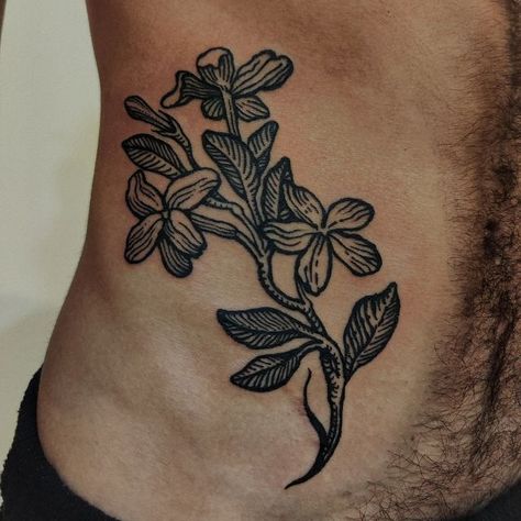 Jasmine Tattoo, Lower Leg Tattoos, Etching Tattoo, Woodcut Tattoo, Traditional Tattoo Flowers, Medieval Tattoo, Traditional Tattoo Designs, Engraving Tattoo, Tattoo Inspiration Men