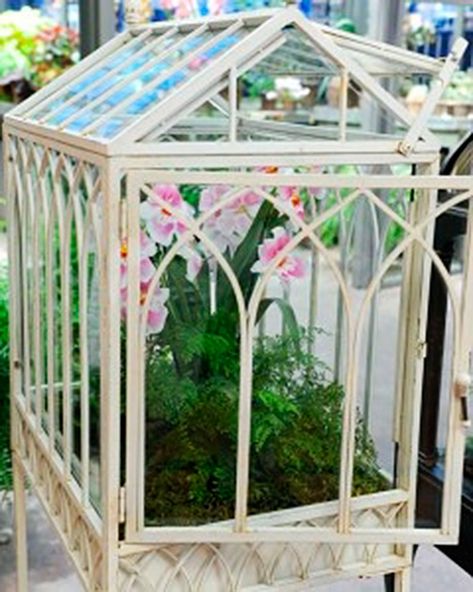 Ornate and elegant, glass-enclosed wardian cases are a miniaturized rendition of the greenhouse. The multipaned structure originated in the 19th century to house fragile tropical plants such as orchids, yet the design is equally relevant today. A tray containing stratified gravel, charcoal, and potting soil serves as the flower bed's foundation and cultivates an excellent indoor environment for plants. Victorian Terrariums, Wardian Case, Practical Garden, Martha Stewart Home, Best Greenhouse, Victorian Age, Glass Houses, Peach Pit, Indoor Greenhouse