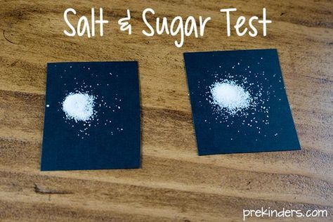 Taste test activities for preschool kids to explore one of their 5 senses. Try the salt and sugar taste test and the milk taste test. 5 Senses Taste Test, Preschool 5 Senses, 5 Senses Preschool, My 5 Senses, Five Senses Preschool, 5 Senses Activities, Senses Preschool, My Five Senses, The 5 Senses