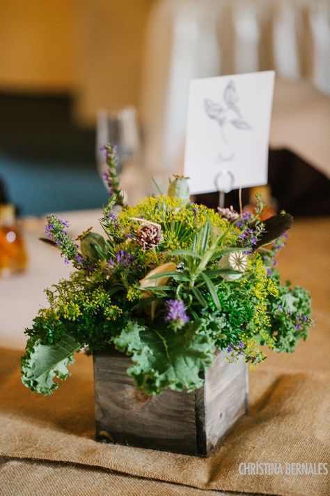 herbal centerpiece Herb Wedding Centerpieces, Herbal Wedding, Picture Wedding Centerpieces, Picture Color Schemes, Herb Centerpieces, Cheap Wedding Table Centerpieces, Centerpieces For Weddings, Herb Wedding, Cheap Wedding Centerpieces