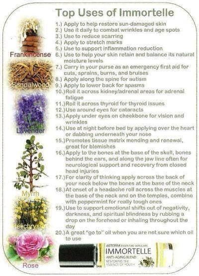 Immortelle Essential Oil Immortelle Doterra, Doterra Immortelle, Immortelle Essential Oil, Proper Hydration, Healing Essential Oils, Magic Herbs, Sun Damaged Skin, Doterra Oils, Oil Uses