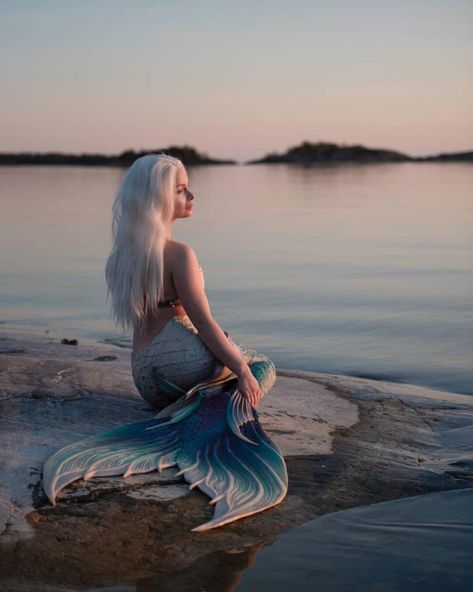 Mermaid Photo Shoot, Mermaid Shoot, Mermaid Photoshoot, Sunset Shoot, Real Life Mermaids, Mermaid Pose, Silicone Mermaid Tails, Mermaid Photography, Mermaid Artwork