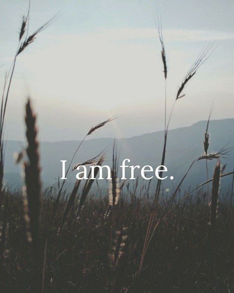 I Am Free Wallpaper, I Am Free Aesthetic, Calm Vision Board, I Am Authentic, I Am Free Quotes, Motivational Visuals, Im Free, I Am At Peace, Music And The Brain