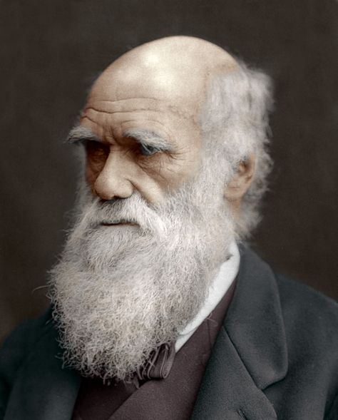 A look at some interesting facts that usually aren't found in textbooks about the man behind the Theory of Evolution and Natural Selection. Hms Beagle, Epic Beard, Theory Of Evolution, Natural Selection, Charles Darwin, Beard Styles, Old Man, Famous People, Cambridge