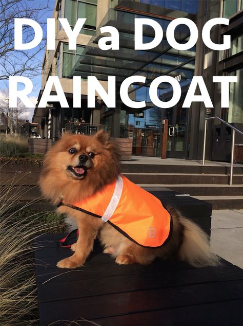 DIY a dog raincoat with reflective band and velcro closure Diy Dog Raincoat, Raincoat Diy, Dog Raincoat Pattern, Trashion Fashion, Crochet Dog Clothes, Velvet Dog Collar, Personalized Leather Dog Collar, Red Dog Collar, Engraved Dog Collar