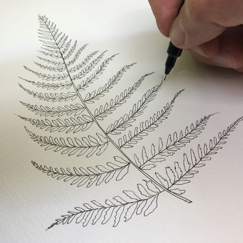 Fern Print | Design by  Kole Ouellette Wrap Around Fern Tattoo, How To Draw Ferns Step By Step, Fern Outline, Fern Leaf Drawing, Fern Sketch, Art Tattoo Ideas, Tat Inspiration, Drawing Plants, Fern Art