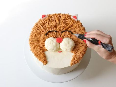 Cat Cake Ideas, Easy Entertaining Food, Campfire Cake, Earth Cake, Orange Food Coloring, Cake Models, Recipes Cookies, Cake Bites, Raspberry Fruit