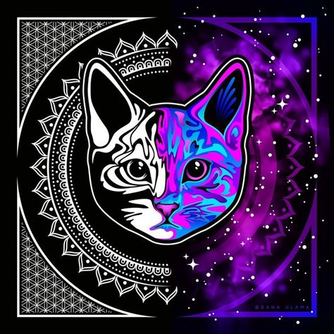 ITS GOING TO BE MISERABLY FANTASTIC!!💚💜💚💜💚💜 Hippy Witch, Trippy Space, Arte Hippy, Hippie Tshirt, Trippy Cat, Psy Art, Halloween Drawings, Alien Art, Art Cat