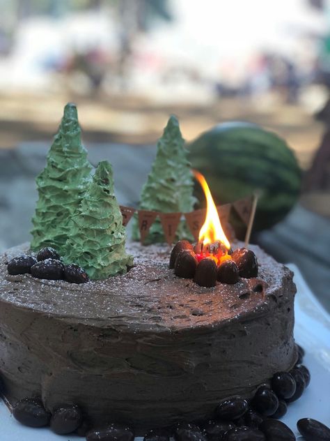 Camping Cakes Birthday, Nature Birthday Cake, Cave Cake, Camping Cake Ideas, Cabin Cake, Hiking Cake, Camp Cake, Camping Theme Cakes, Bonfire Cake