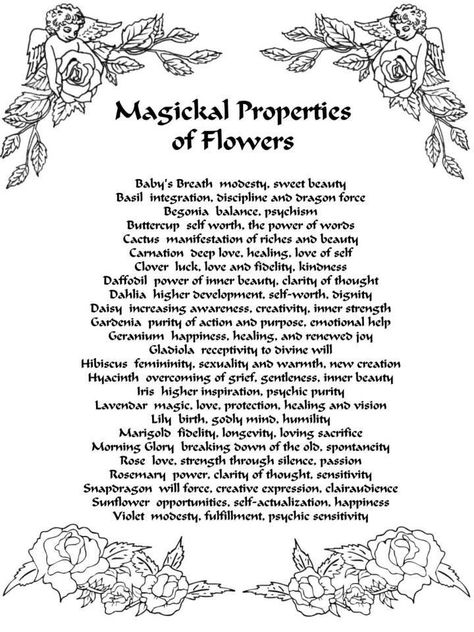 Witch Spells, Witchcraft Spells For Beginners, Magickal Herbs, Witch Herbs, Spells For Beginners, Spell Work, Black Magick, Magic Herbs, Magick Spells