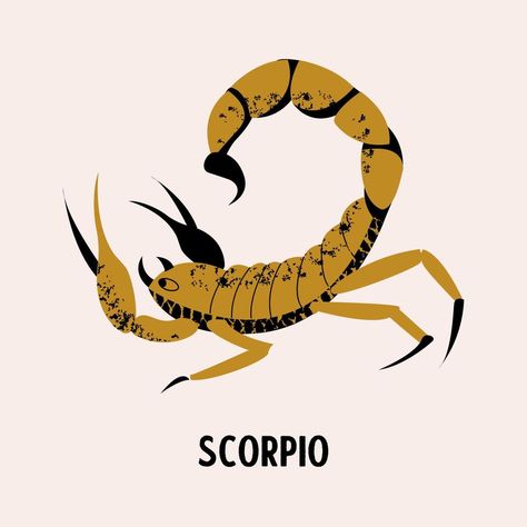 Sign of the zodiac Scorpio. Constellation of the Scorpion. Vector illustration. Scorpio Character Design, Scorpion Art Illustration, Cartoon Scorpion, Symbolic Illustration, Scorpio Illustration, Scorpion Vector, Scorpion Illustration, Scorpion Drawing, Scorpio Images