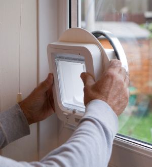 Cat Flap Glazier | Fitted Into Single & Double Glazing | 0800 740 8163Aaran Glass – Glass, Glazing And Boarding Service Service Cat, Cat Flap, Window Glazing, Double Glazed Window, Double Glazing, Going On Holiday, Safety Glass, Patio Doors, Glass Panels