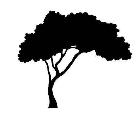 African Tree Silhouette, branch And Leaves Illustration. Safari Tree Silhouette, African Silhouette Art Animals, Silhouette Of Trees, Africa Silhouette Art, Acacia Tree Silhouette, Tree Siloutte, Tree Shadow Drawing, Tree Silloutes, African Silhouette Art